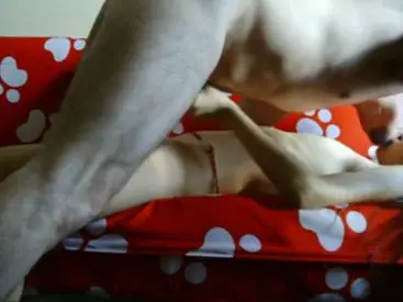 Live ABG Bispak Jakarta Hotel Bintang Lima Muncrat